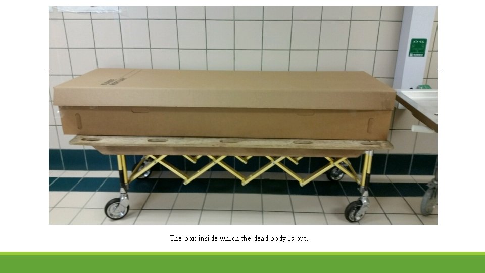 The box inside which the dead body is put. 