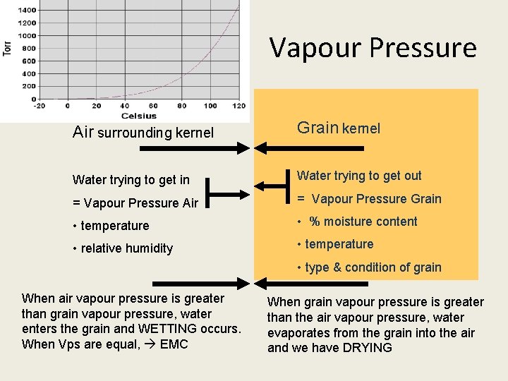 Vapour Pressure Air surrounding kernel Grain kernel Water trying to get in Water trying