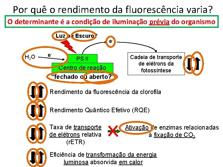 Por quê o rendimento da fluorescência varia? O determinante é a condição de iluminação