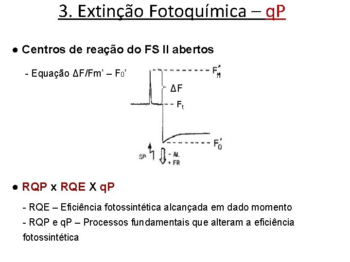 3. Extinção Fotoquímica – q. P ● Centros de reação do FS II abertos