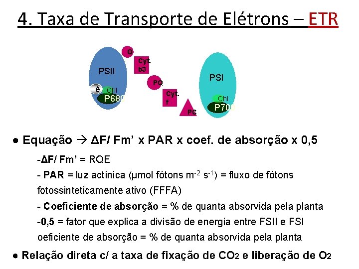 4. Taxa de Transporte de Elétrons – ETR Q PSII é Chl P 680