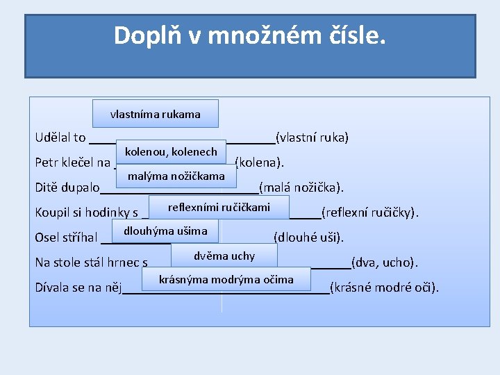 Doplň v množném čísle. vlastníma rukama Udělal to ______________(vlastní ruka) kolenou, kolenech Petr klečel