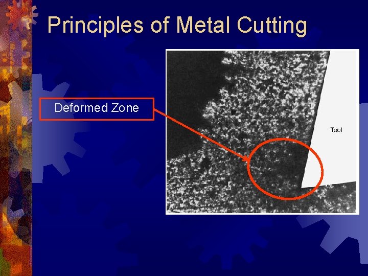 Principles of Metal Cutting Deformed Zone 