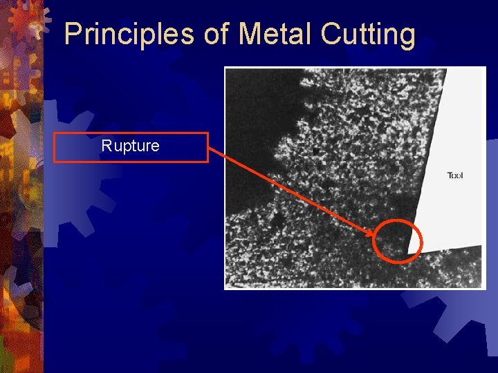 Principles of Metal Cutting Rupture 