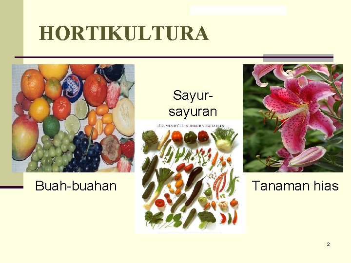 HORTIKULTURA Sayursayuran Buah-buahan Tanaman hias 2 