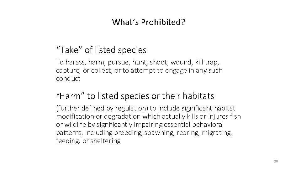 What’s Prohibited? “Take” of listed species To harass, harm, pursue, hunt, shoot, wound, kill