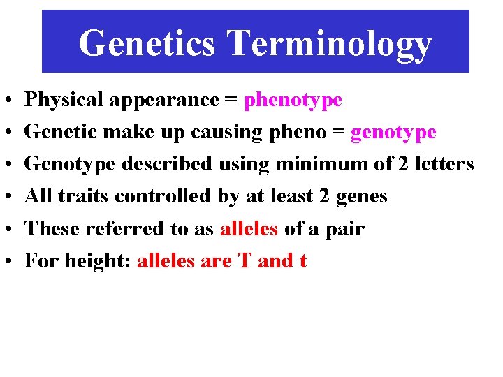 Genetics Terminology • • • Physical appearance = phenotype Genetic make up causing pheno