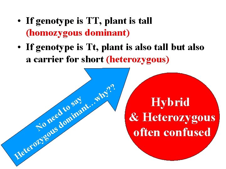  • If genotype is TT, plant is tall (homozygous dominant) • If genotype