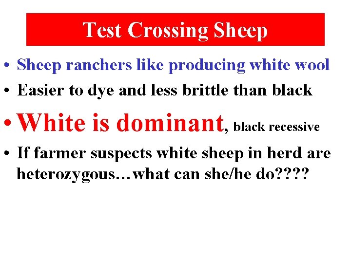 Test Crossing Sheep • Sheep ranchers like producing white wool • Easier to dye