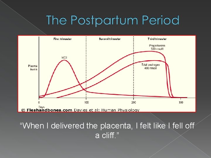 “When I delivered the placenta, I felt like I fell off a cliff. ”