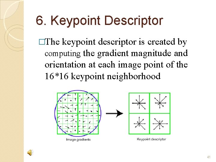 6. Keypoint Descriptor �The keypoint descriptor is created by computing the gradient magnitude and
