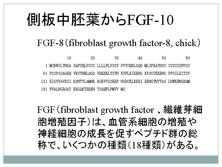 側板中胚葉からFGF-10 FGF-8（fibroblast growth factor-8, chick） 10 20 30 40 50 60 1 MCKWILTNGA SAFSHLPCCC