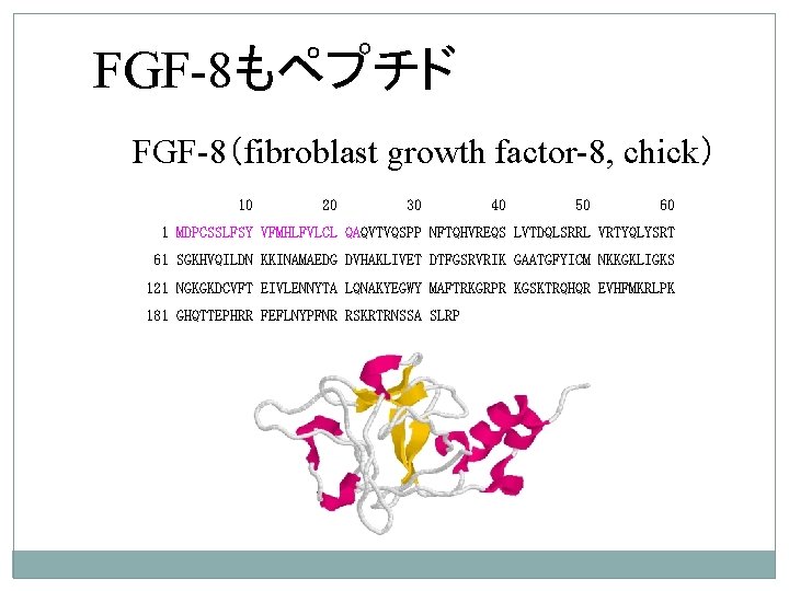 FGF-8もペプチド FGF-8（fibroblast growth factor-8, chick） 10 20 30 40 50 60 1 MDPCSSLFSY VFMHLFVLCL