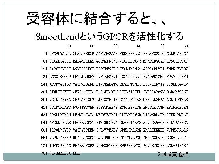 受容体に結合すると、、 SmoothendというGPCRを活性化する 10 20 30 40 50 60 1 GPCWLWALAL GLALGPRRCP AAPLNASAAP PERCRRPAAC ERLRFGSCLG