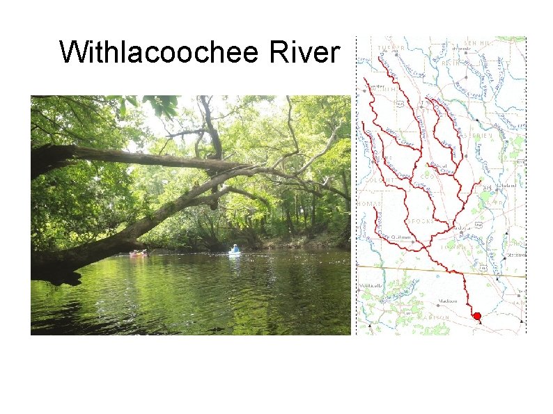 Withlacoochee River 