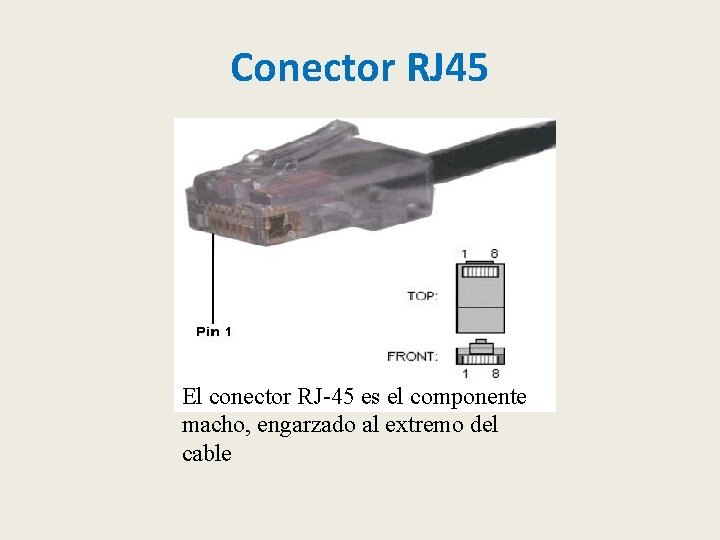 Conector RJ 45 El conector RJ-45 es el componente macho, engarzado al extremo del
