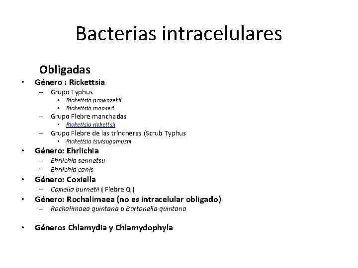 Bacterias intracelulares • Obligadas Género : Rickettsia – Grupo Typhus • Rickettsia prowazekii •