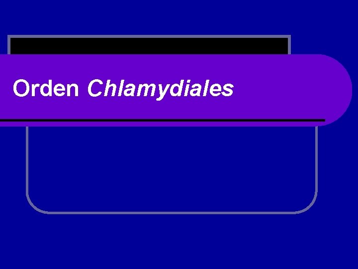 Orden Chlamydiales 