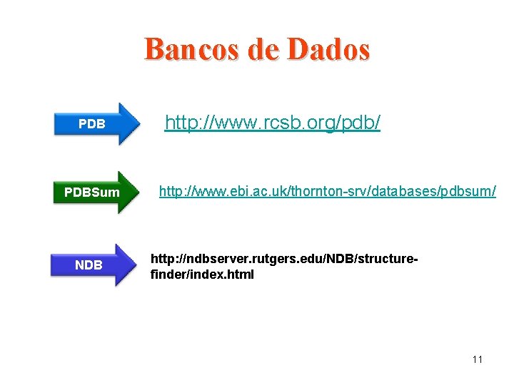 Bancos de Dados PDBSum NDB http: //www. rcsb. org/pdb/ http: //www. ebi. ac. uk/thornton-srv/databases/pdbsum/