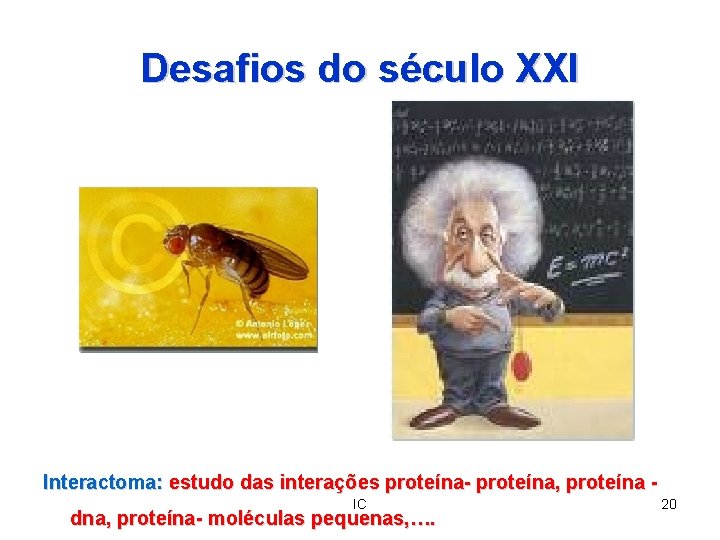 Desafios do século XXI Interactoma: estudo das interações proteína- proteína, proteína IC dna, proteína-