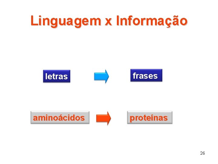 Linguagem x Informação letras aminoácidos frases proteínas 26 