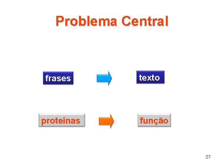 Problema Central frases proteínas texto função 27 