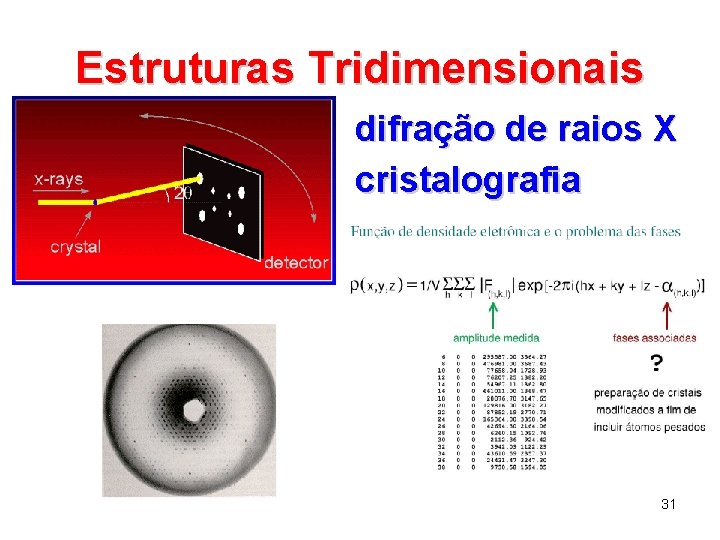 Estruturas Tridimensionais difração de raios X cristalografia 31 