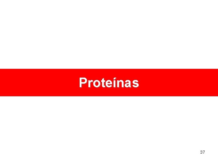 Proteínas 37 