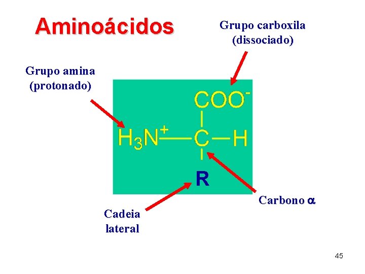 Aminoácidos Grupo carboxila (dissociado) Grupo amina (protonado) R Cadeia lateral Carbono a 45 