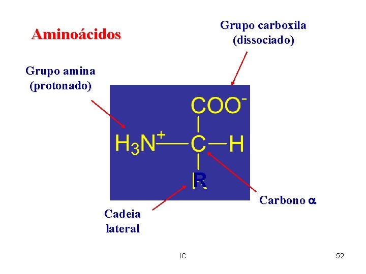 Grupo carboxila (dissociado) Aminoácidos Grupo amina (protonado) R Carbono a Cadeia lateral IC 52