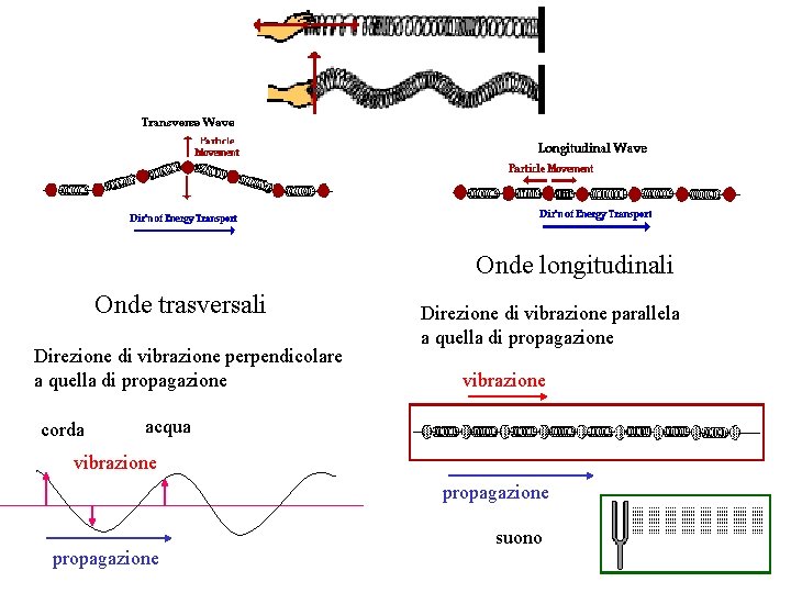 Onde longitudinali Onde trasversali Direzione di vibrazione perpendicolare a quella di propagazione corda Direzione