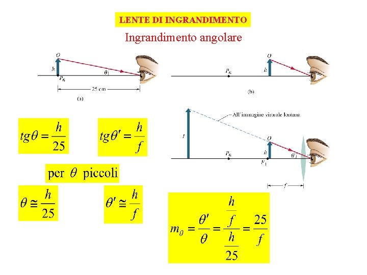 LENTE DI INGRANDIMENTO Ingrandimento angolare 