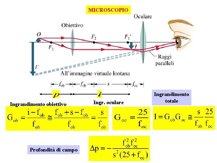 MICROSCOPIO Ingrandimento obiettivo Profondità di campo Ingr. oculare Ingrandimento totale 