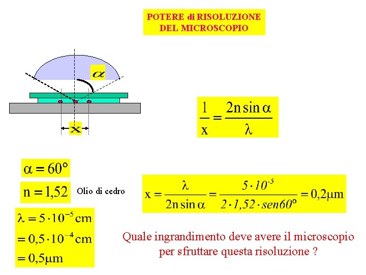 POTERE di RISOLUZIONE DEL MICROSCOPIO Olio di cedro Quale ingrandimento deve avere il microscopio
