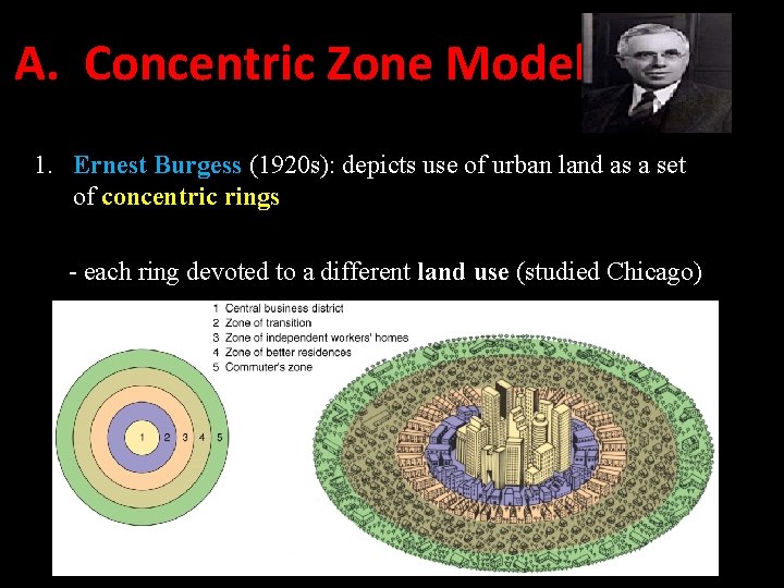 A. Concentric Zone Model 1. Ernest Burgess (1920 s): depicts use of urban land A. Concentric Zone Model 1. Ernest Burgess (1920 s): depicts use of urban land