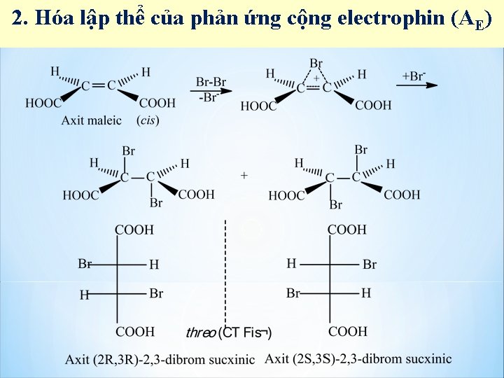 2. Hóa lập thể của phản ứng cộng electrophin (AE) 