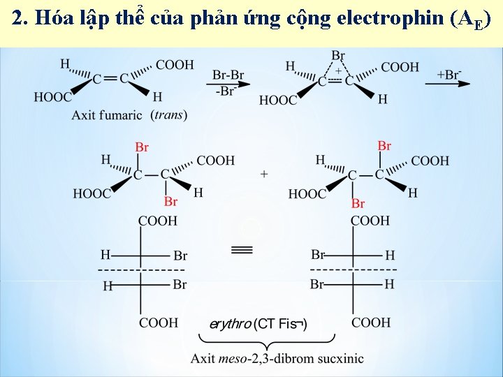 2. Hóa lập thể của phản ứng cộng electrophin (AE) 