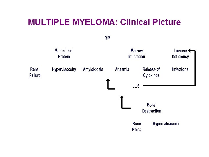 MULTIPLE MYELOMA: Clinical Picture 