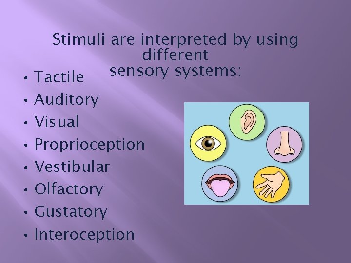 Stimuli are interpreted by using different sensory systems: • Tactile • Auditory • Visual