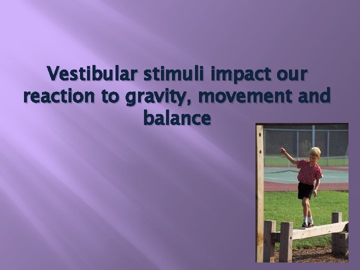 Vestibular stimuli impact our reaction to gravity, movement and balance 