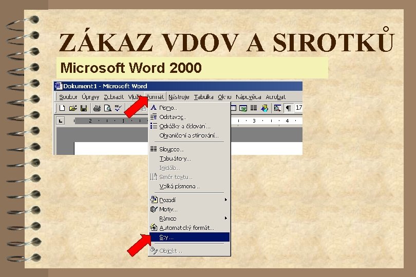 ZÁKAZ VDOV A SIROTKŮ Microsoft Word 2000 