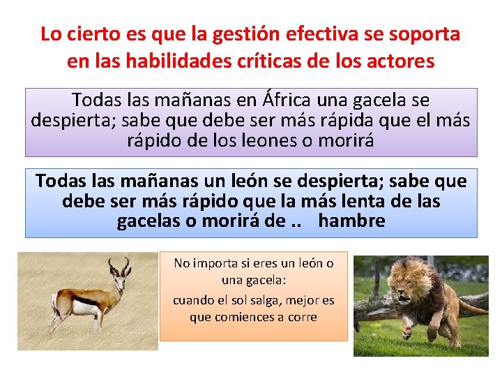 Lo cierto es que la gestión efectiva se soporta en las habilidades críticas de