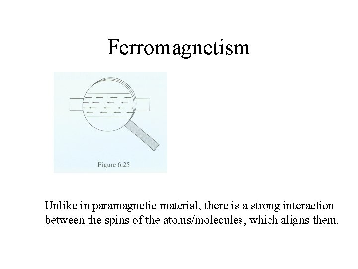 Ferromagnetism Unlike in paramagnetic material, there is a strong interaction between the spins of