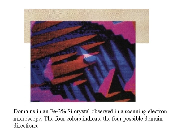 Domains in an Fe-3% Si crystal observed in a scanning electron microscope. The four