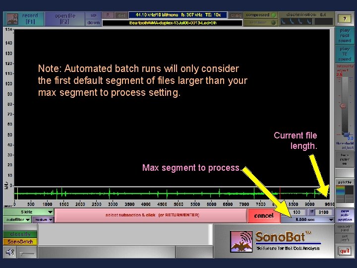 Note: Automated batch runs will only consider the first default segment of files larger