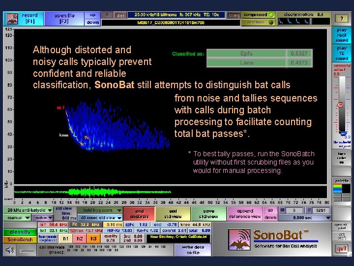 Although distorted and noisy calls typically prevent confident and reliable classification, Sono. Bat still