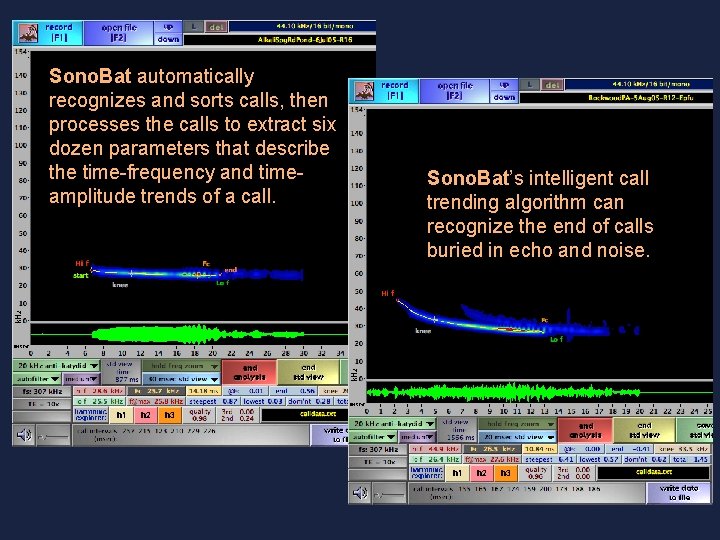 Sono. Bat automatically recognizes and sorts calls, then processes the calls to extract six