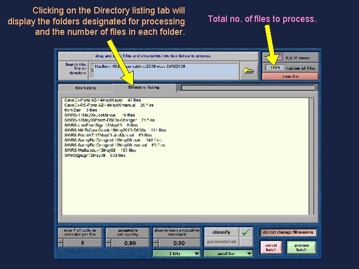 Clicking on the Directory listing tab will display the folders designated for processing and