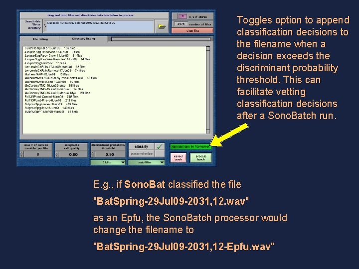 Toggles option to append classification decisions to the filename when a decision exceeds the
