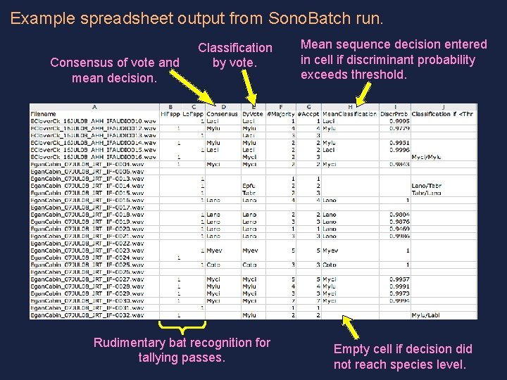 Example spreadsheet output from Sono. Batch run. Mean sequence decision entered Classification in cell